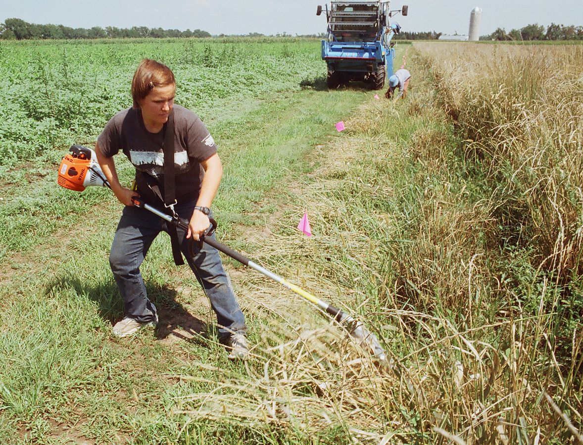 String trimmer logo