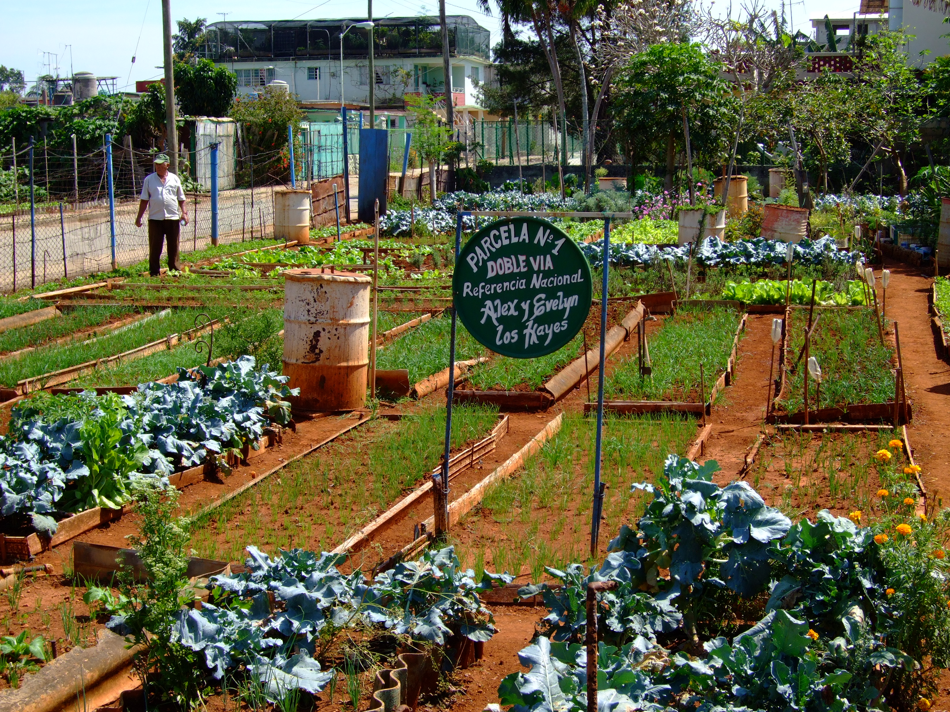 Urban agriculture logo