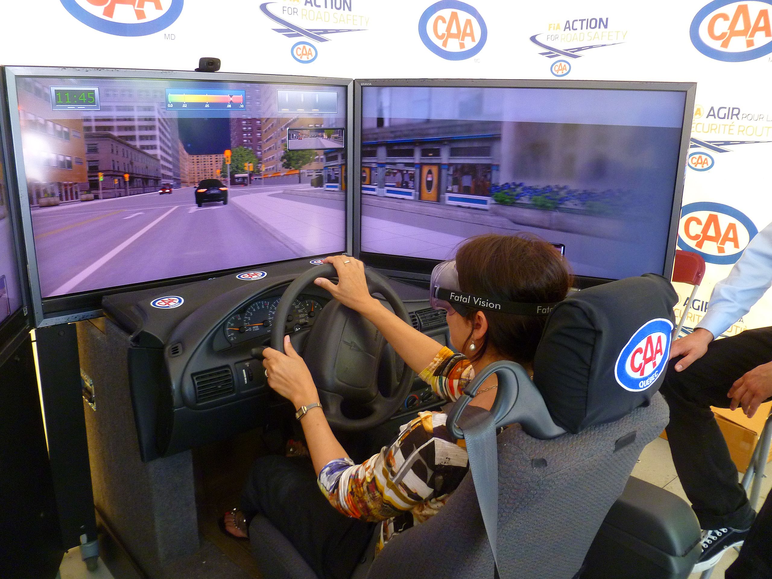 Vehicle simulation game