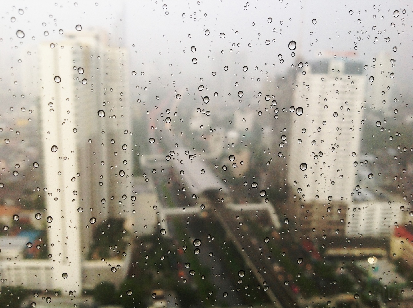 Weather