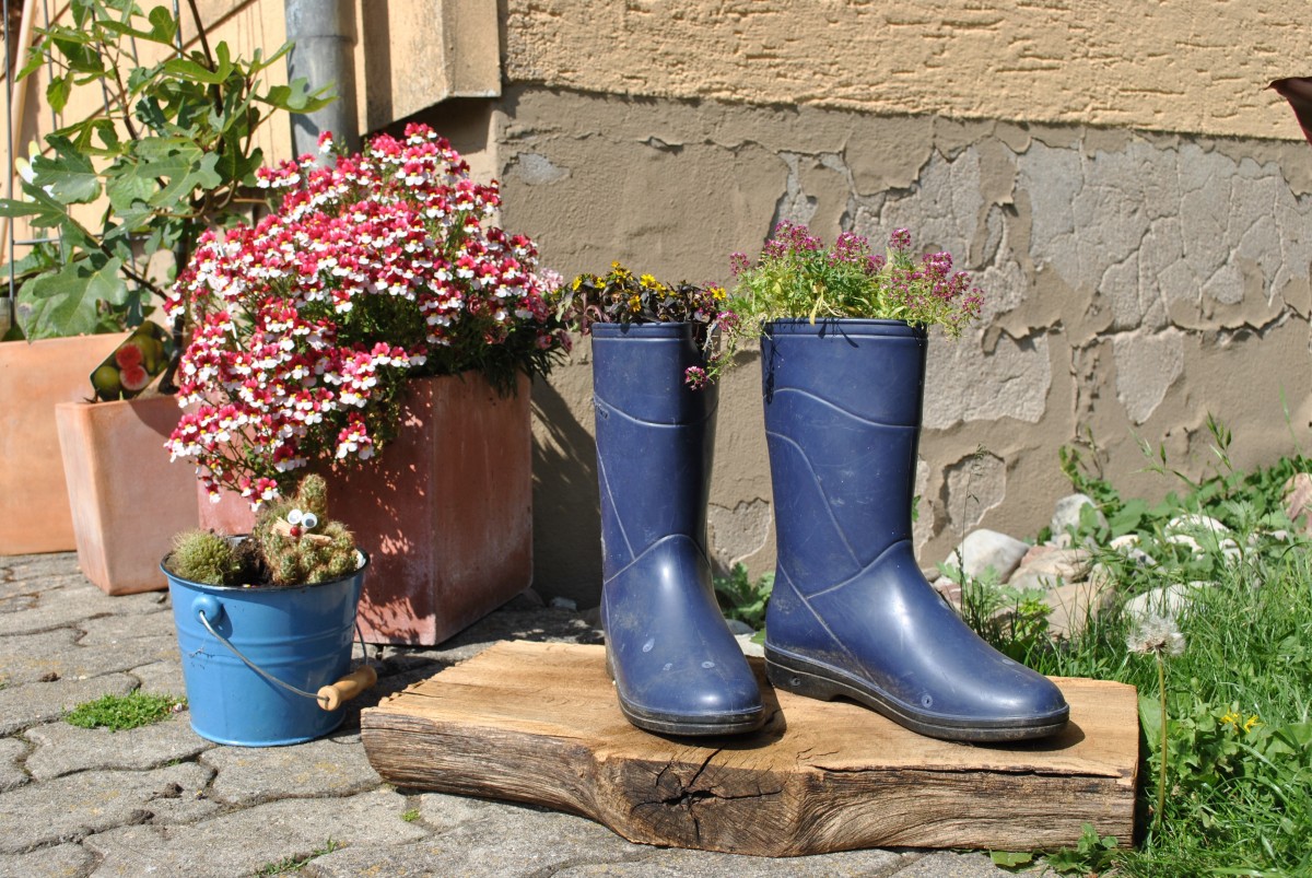 Wellington boot logo