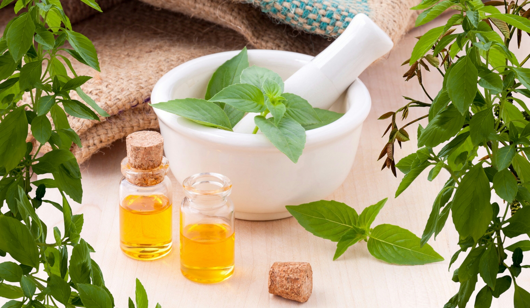 Wellness (alternative medicine)