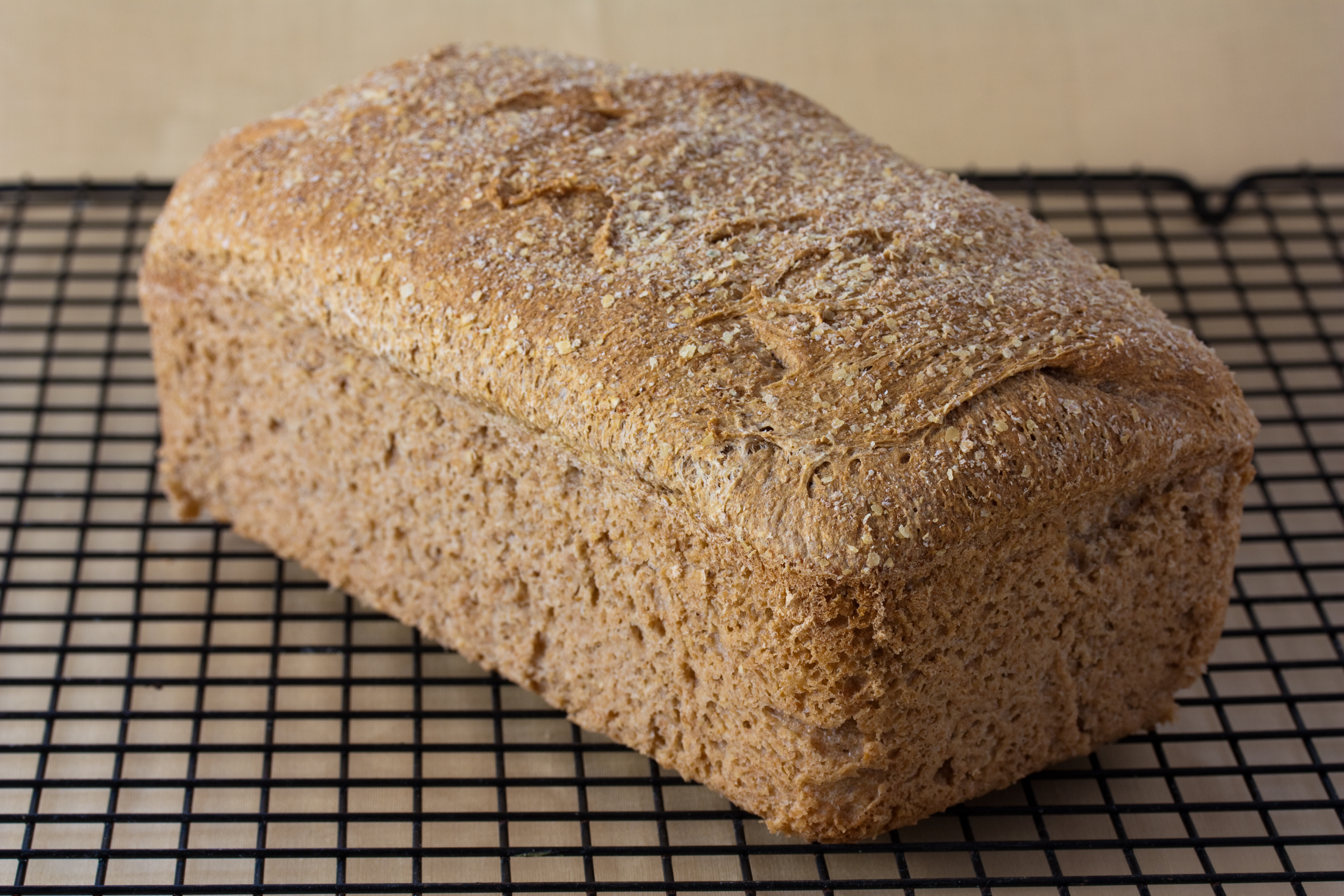 Whole wheat bread logo