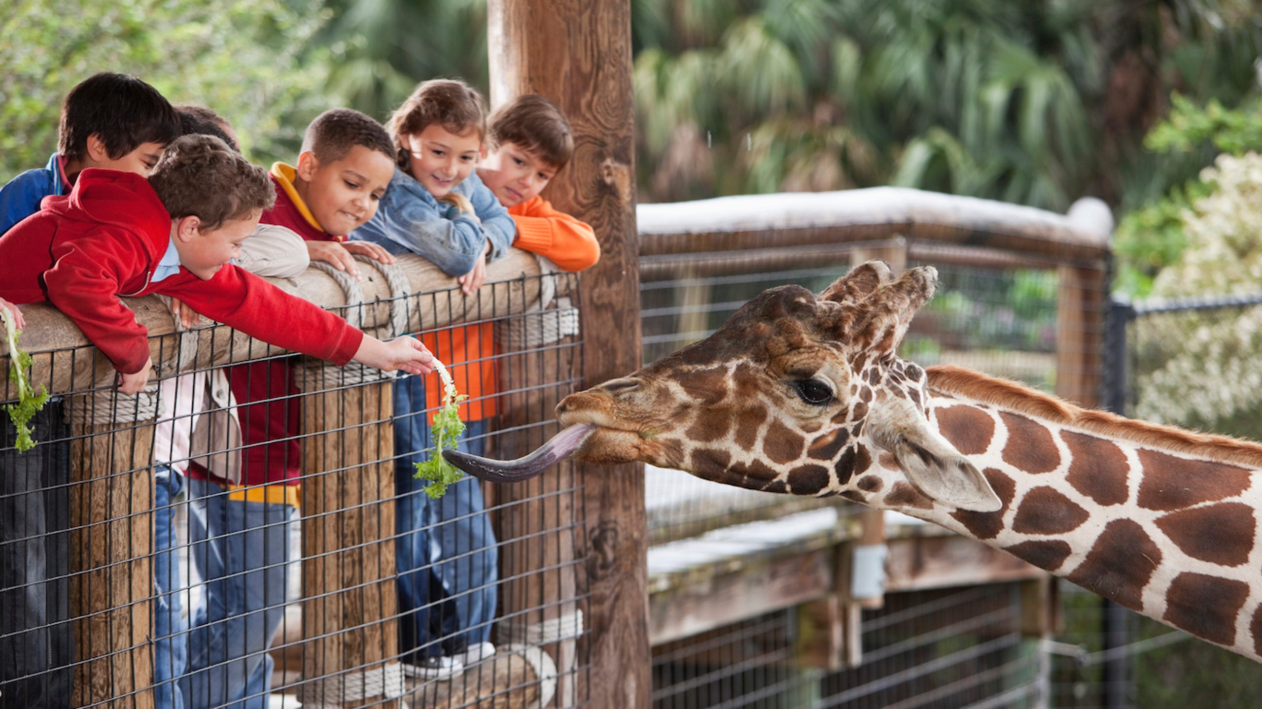Zoo