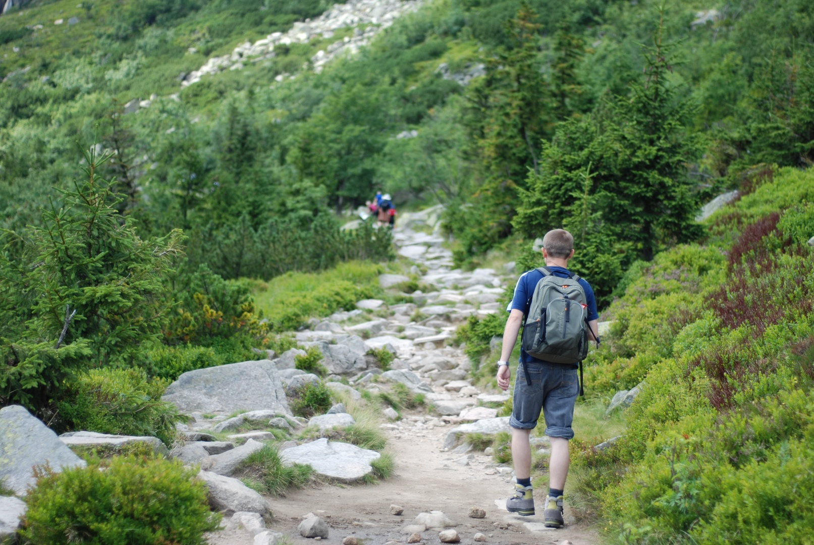 Hiking trails logo