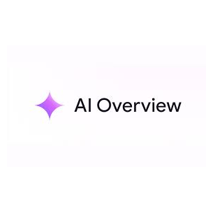 Google AI Overview