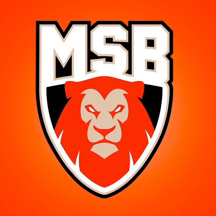 Le Mans Sarthe Basket