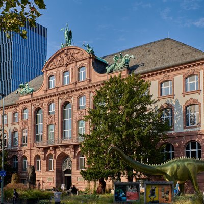 Senckenberg Naturmuseum