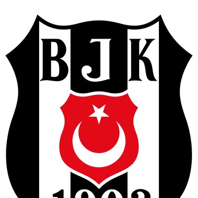Beşiktaş Women's Volleyball Team