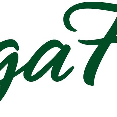 MegaFood logo