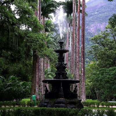 Rio de Janeiro Botanical Garden