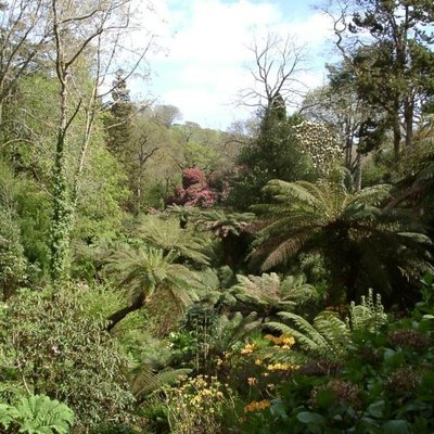 Lost Gardens of Heligan