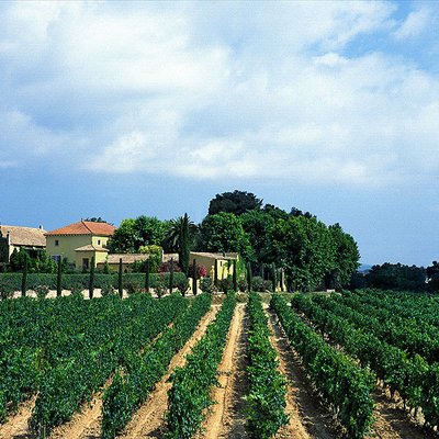 Bodegas Torres