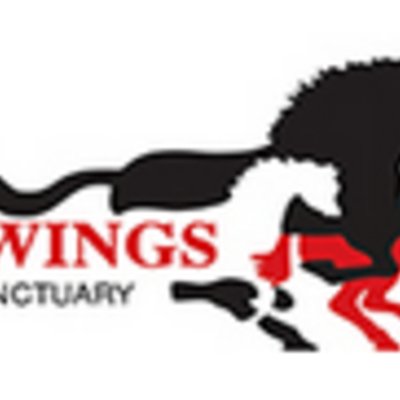 Redwings Horse Sanctuary
