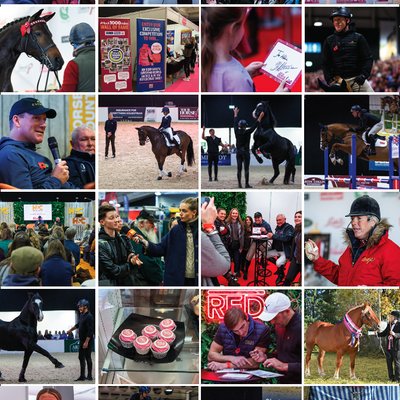 Your Horse Live