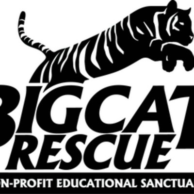 Big Cat Rescue logo
