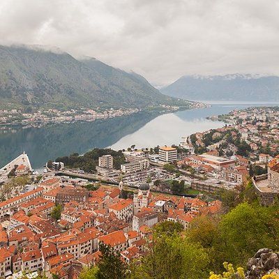 Kotor