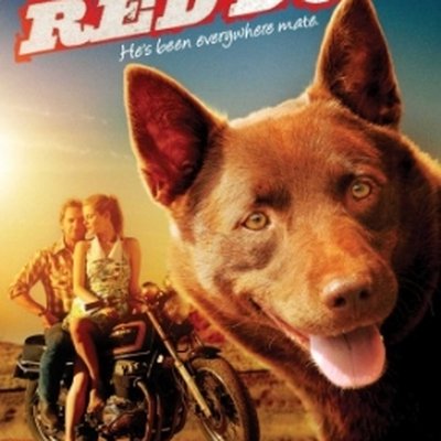 Red Dog (film)