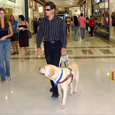 Guide Dogs for the Blind