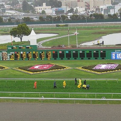 Golden Gate Fields