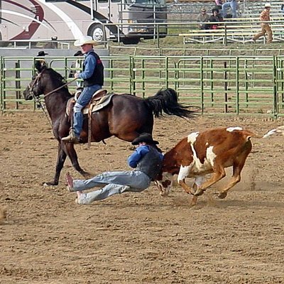 Steer wrestling logo