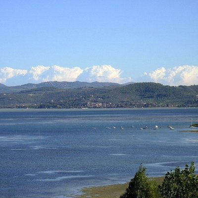 Lake Trasimeno
