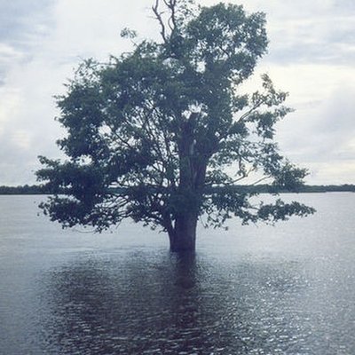 Araguaia River