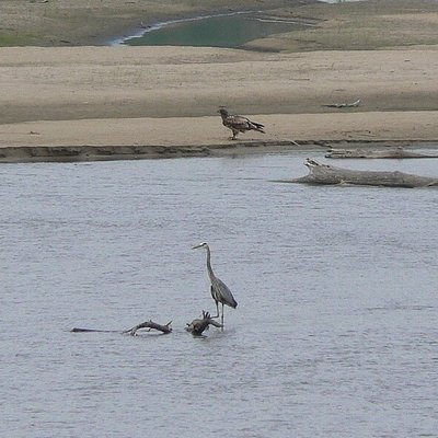 Platte River