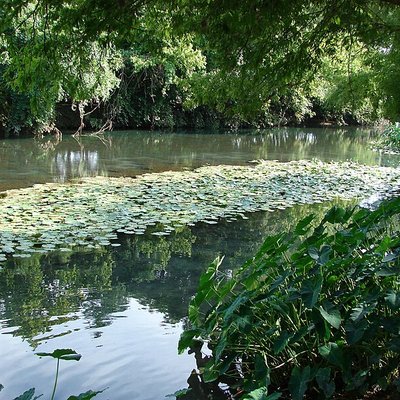 Comal River