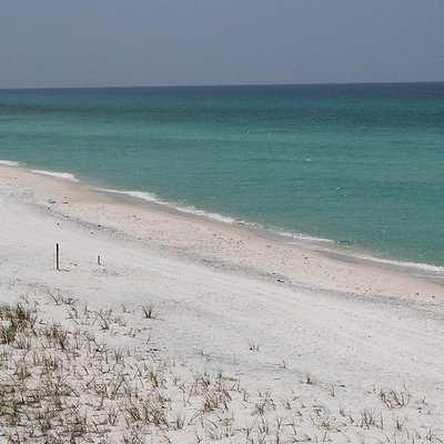 Grayton Beach, Florida logo