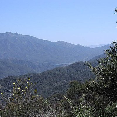 National Forest Foundation logo