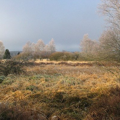 High Fens