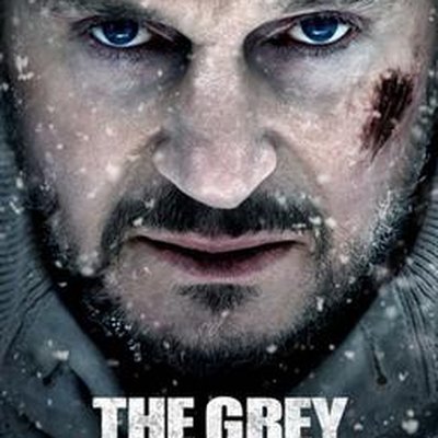The Grey (film) logo
