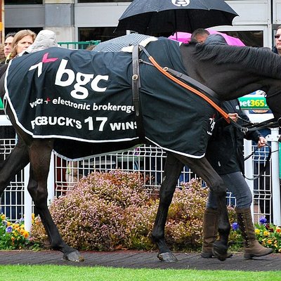 Big Buck's logo