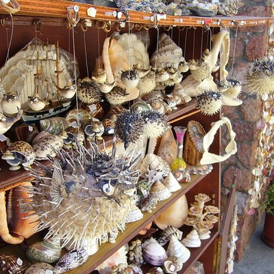 Wildlife trade logo