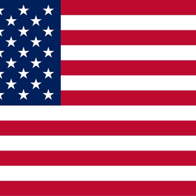 Fly the American Flag logo