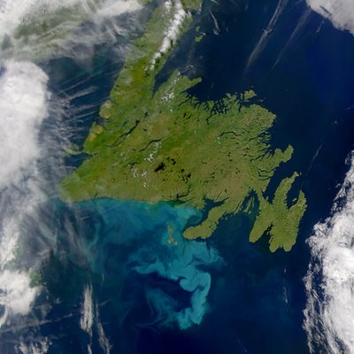 Newfoundland (island)