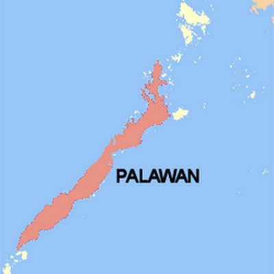 Palawan (island)