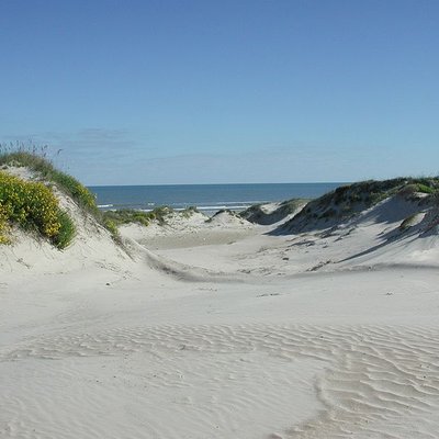 Padre Island