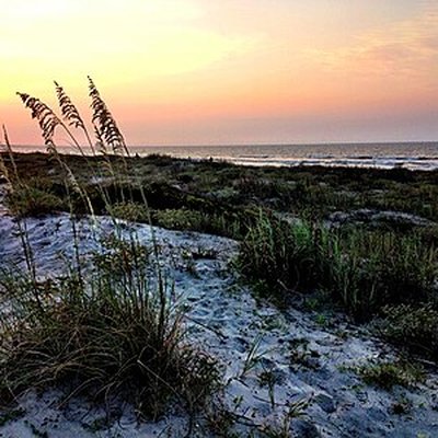 Kiawah Island, South Carolina logo
