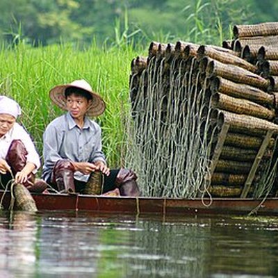 Fish trap