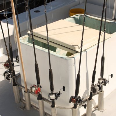 Pole Fishing Magazine