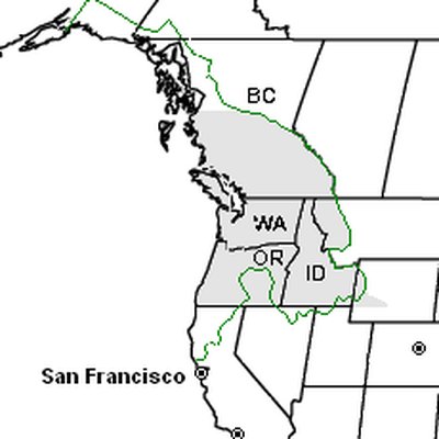 Pacific Northwest logo