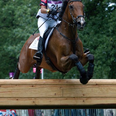 Mary King (equestrian)