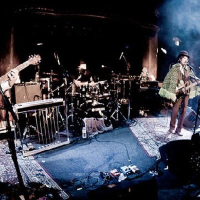 Animal Liberation Orchestra