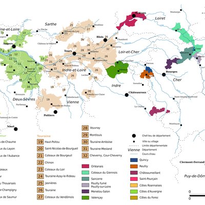Loire Valley (wine)