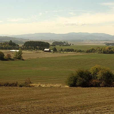 Willamette Valley logo