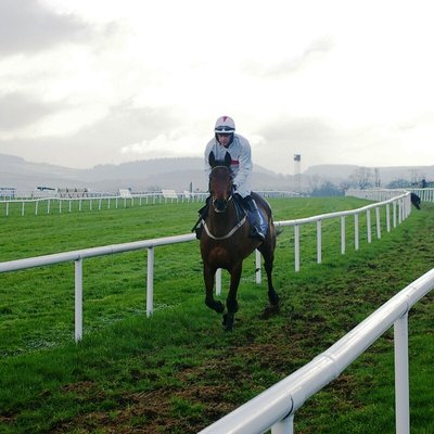 Leopardstown Racecourse