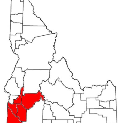 Boise metropolitan area logo