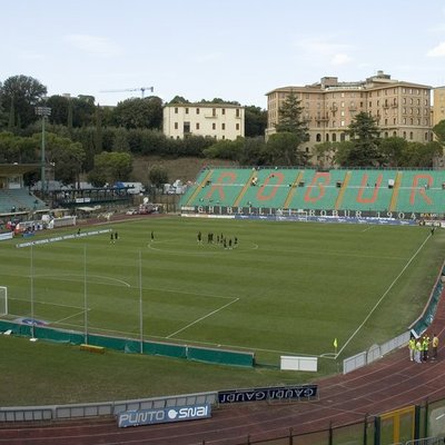 Stadio Artemio Franchi
